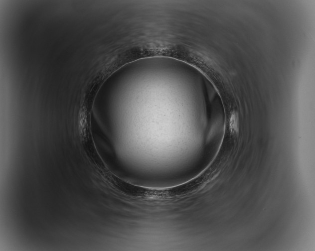 X0000088451299200705291505
