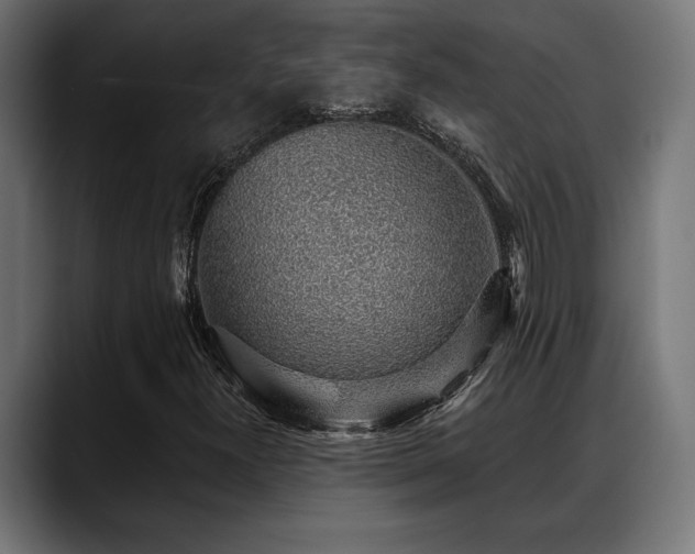 X0000088451300200705291505