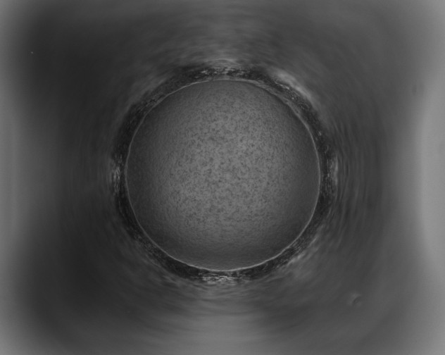 X0000088451302200705291505