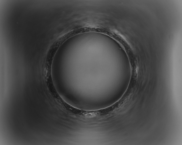 X0000088451303200705291505