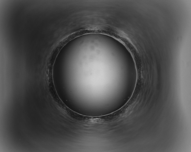X0000088451304200705291505