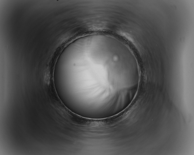 X0000088451306200705291505