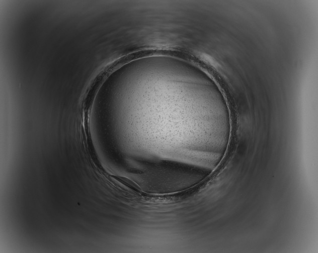 X0000088451307200705291505