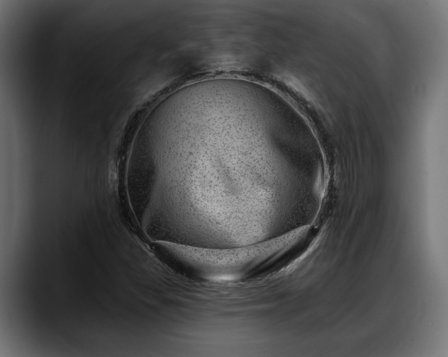 X0000088451309200705291505