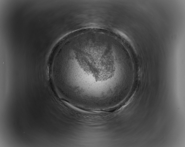 X0000088451310200705291505