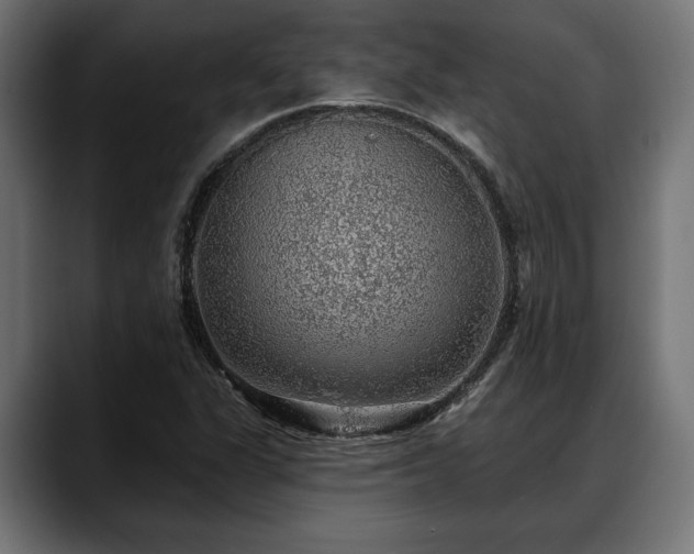 X0000088451311200705291505
