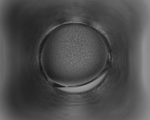 X0000088451312200705291505