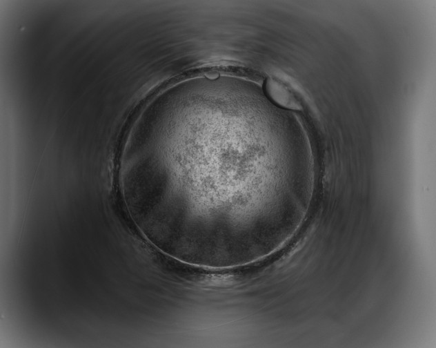X0000088451313200705291505