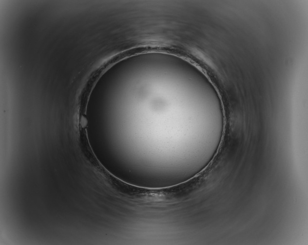 X0000088451315200705291505