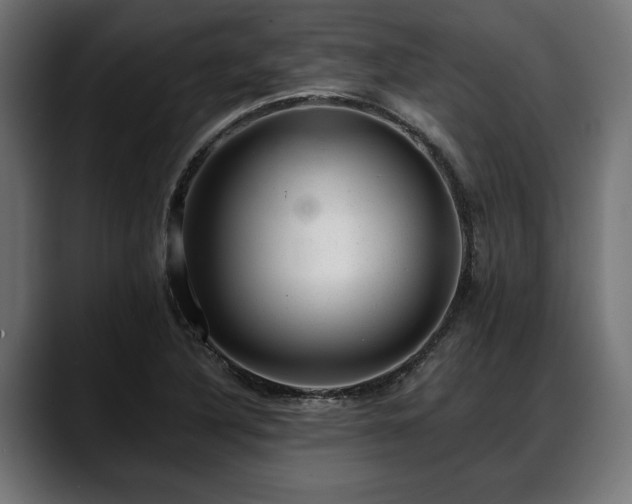 X0000088451316200705291505