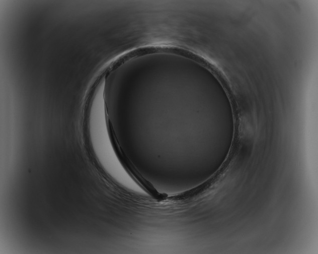 X0000088451319200705291505