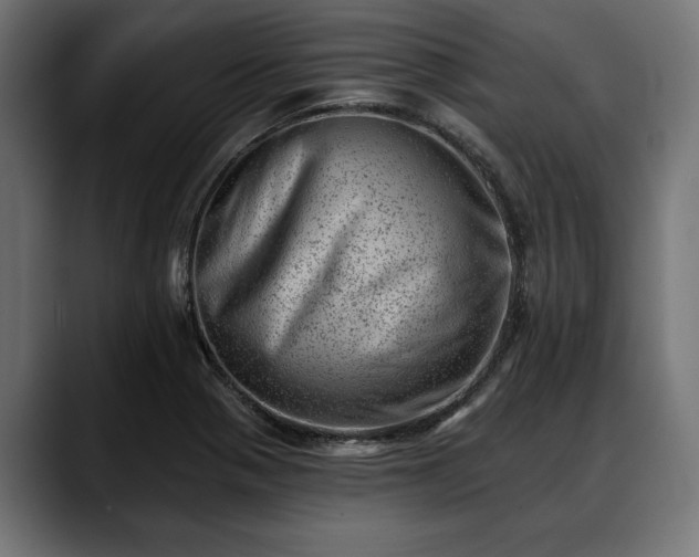 X0000088451321200705291505