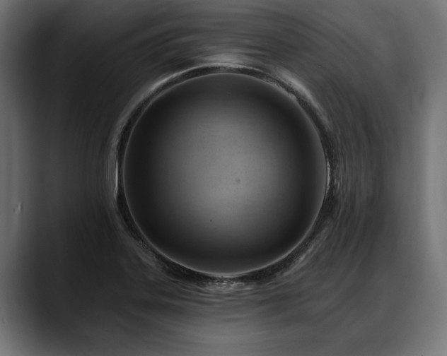 X0000088451323200705291505