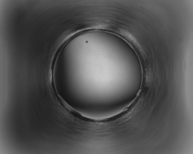 X0000088451324200705291505