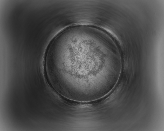 X0000088451325200705291505