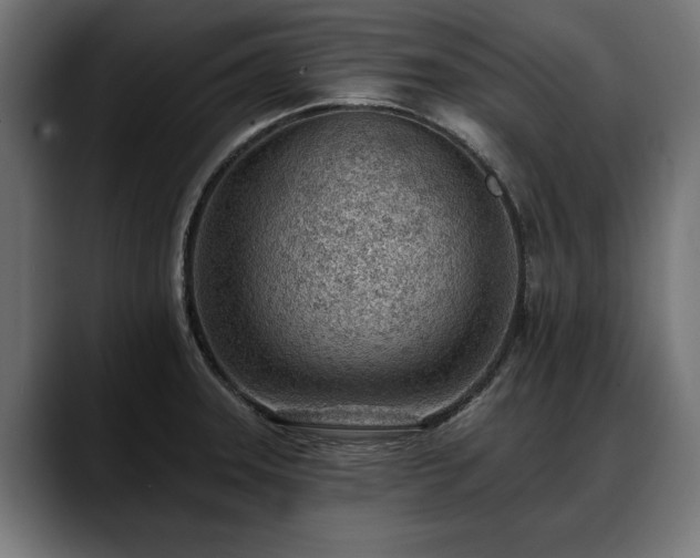 X0000088451331200705291505