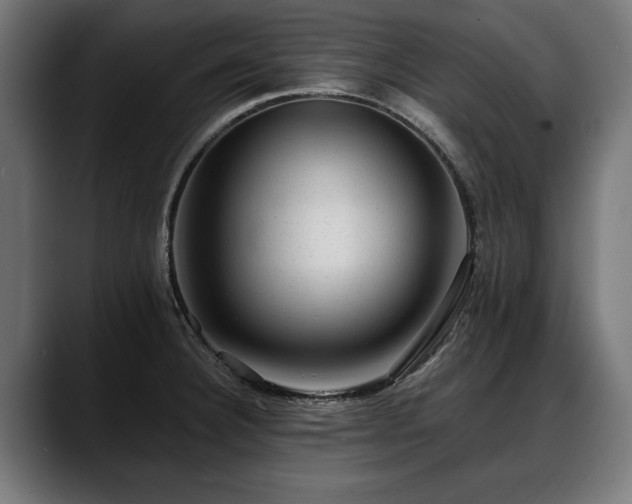 X0000088451332200705291506