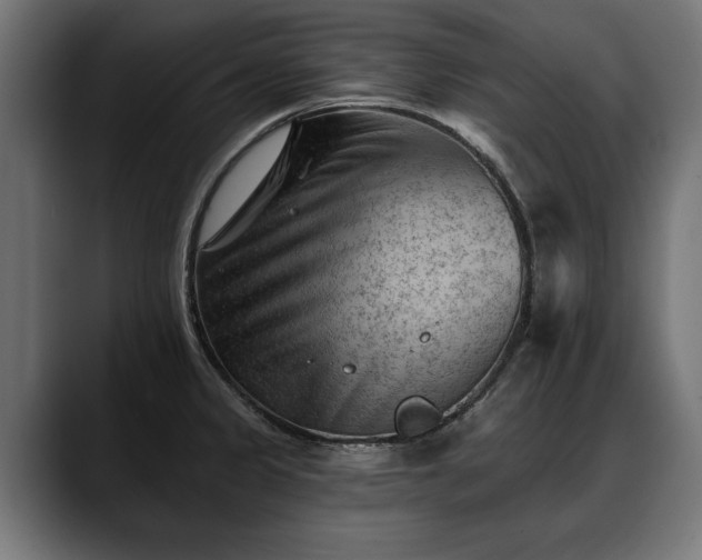 X0000088451333200705291506