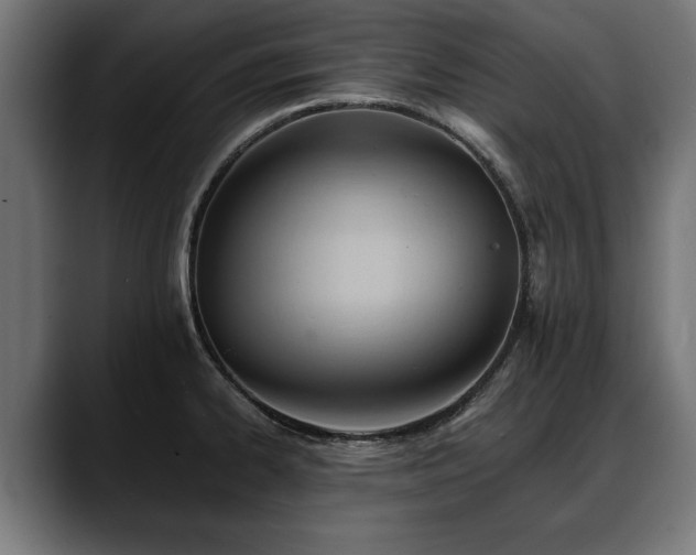 X0000088451334200705291506