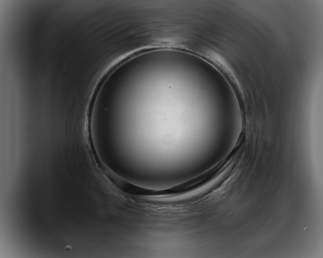 X0000088451336200705291506