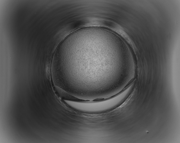 X0000088451337200705291506