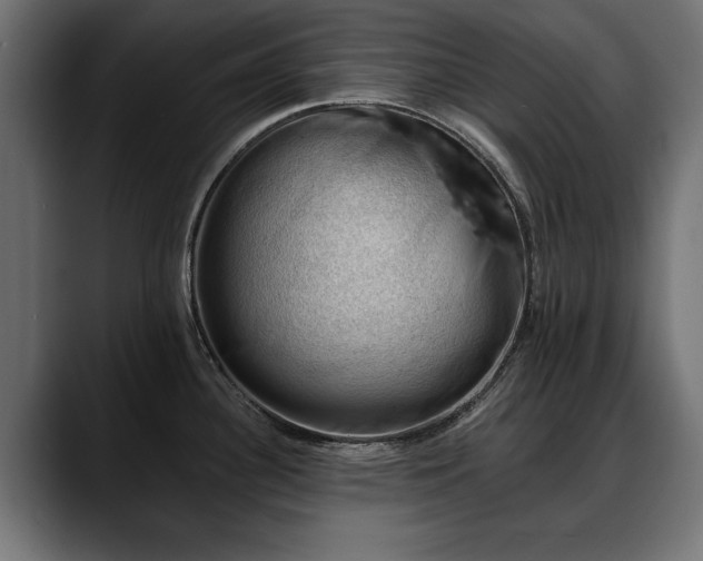 X0000088451340200705291506