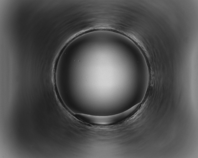 X0000088451342200705291506