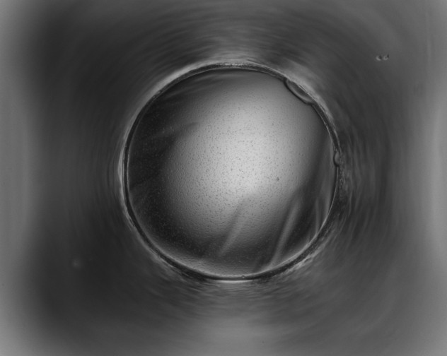 X0000088451343200705291506