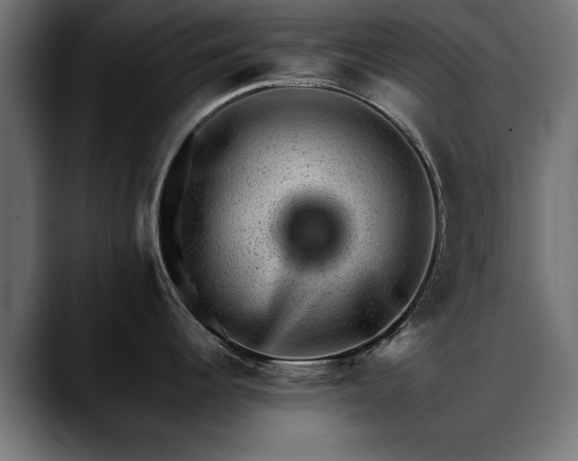 X0000088451344200705291506
