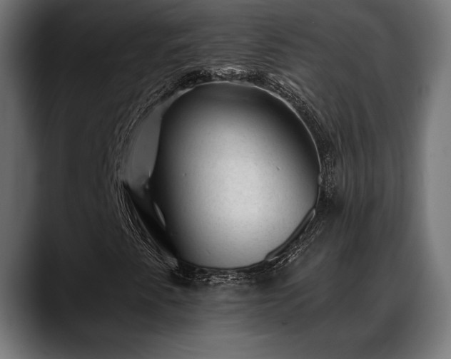 X0000088451345200705291505