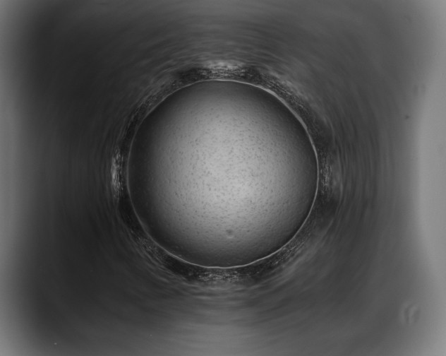 X0000088451346200705291505