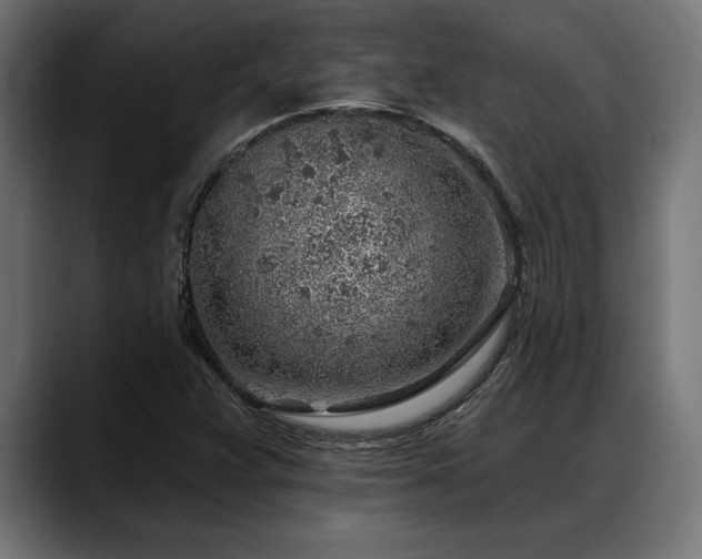 X0000088451359200705291505