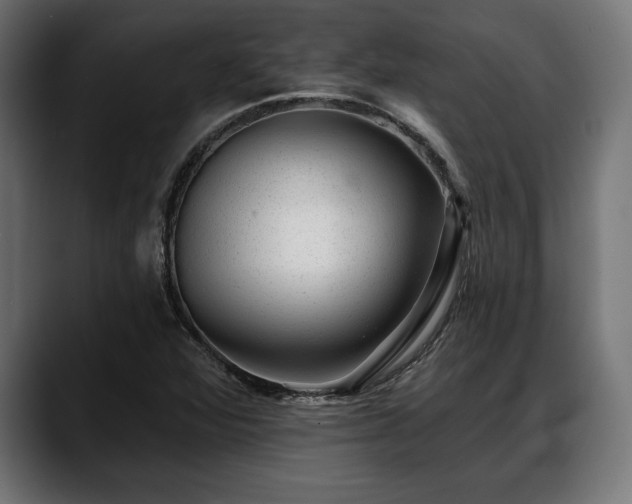 X0000088451360200705291505