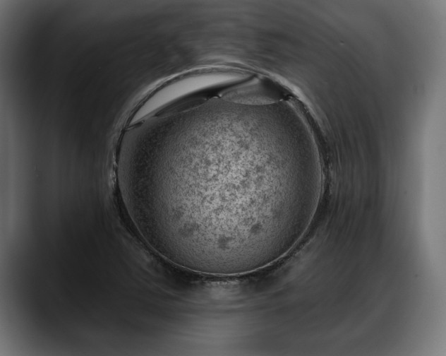 X0000088451363200705291505