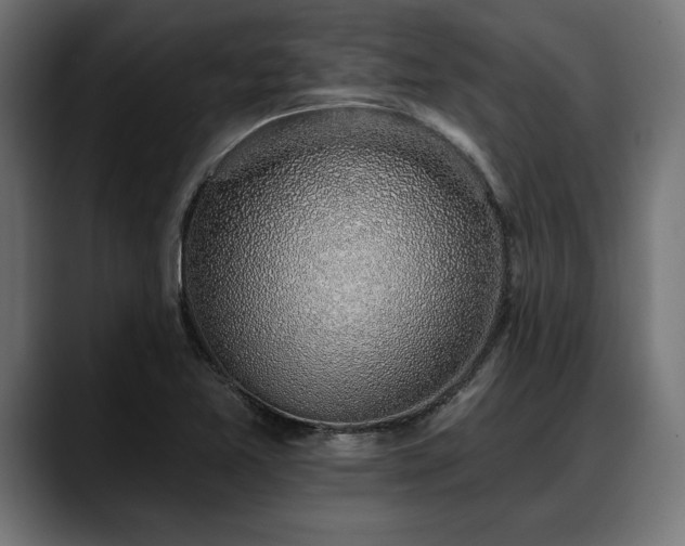 X0000088451365200705291505