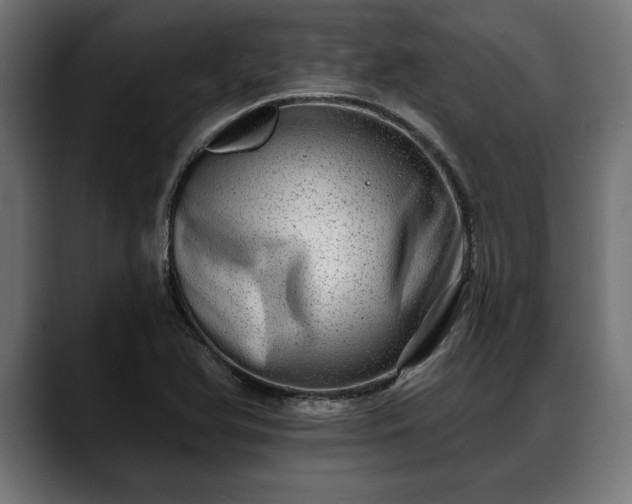 X0000088451366200705291505