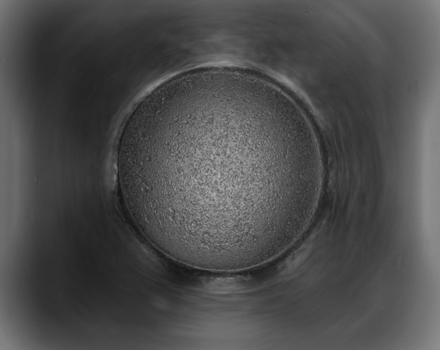 X0000088451367200705291505