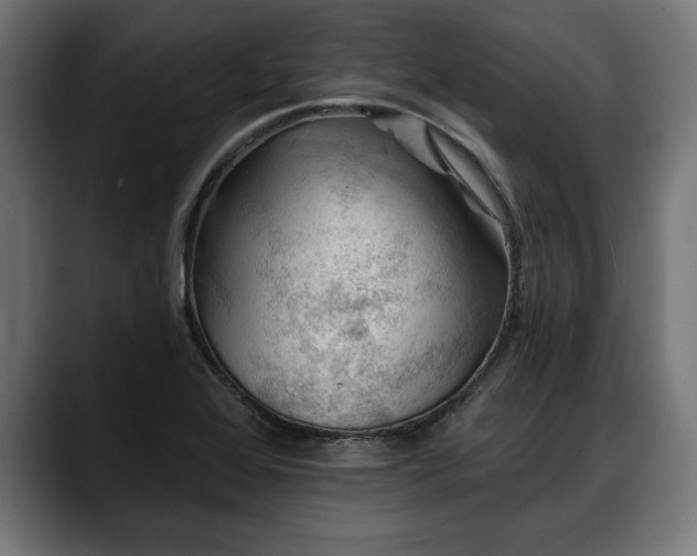 X0000088451368200705291505