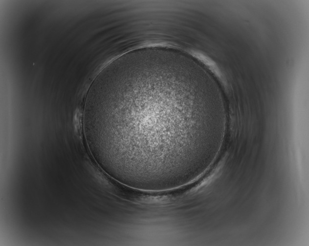 X0000088451369200705291505