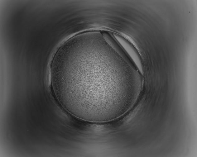 X0000088451371200705291505