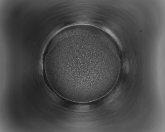 X0000088451372200705291505