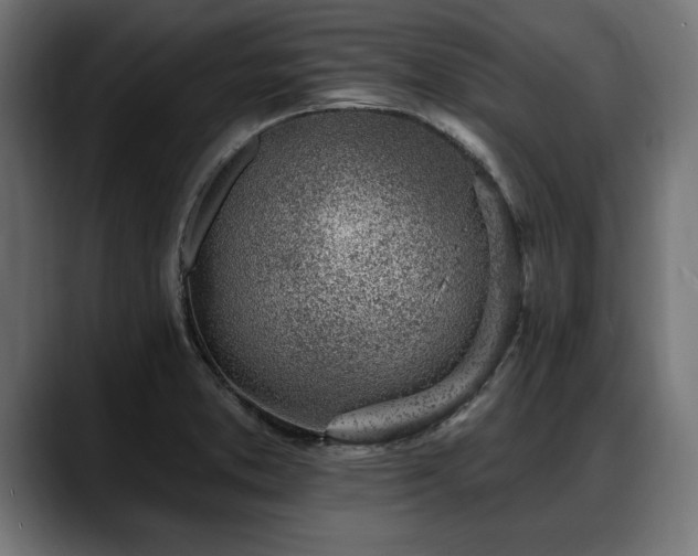 X0000088451373200705291505