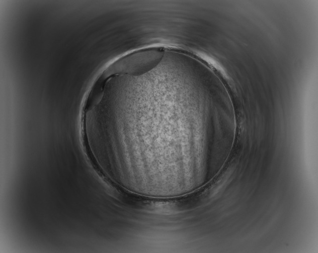 X0000088451375200705291505