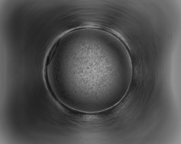 X0000088451379200705291505