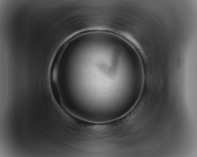 X0000088451380200705291505