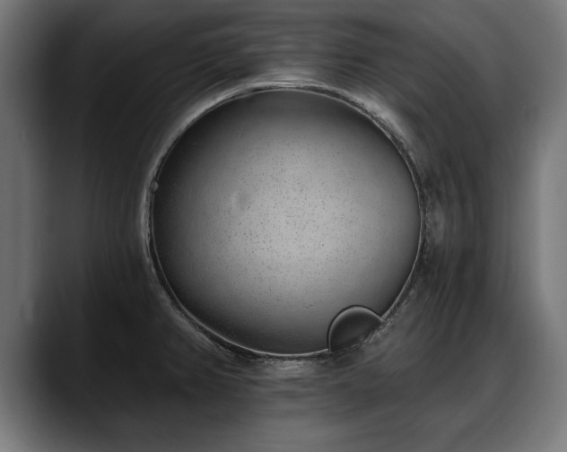 X0000088451382200705291505