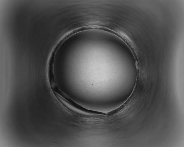 X0000088451384200705291505