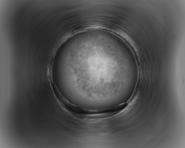 X0000088451385200705291505