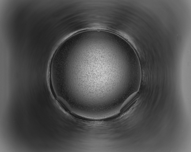 X0000088451387200705291505