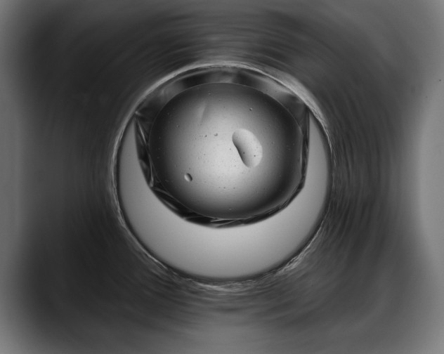 X0000088451388200705291505